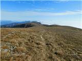 Parkirišče Hoyer (Neuhofgraben) - Lärchkogel (Glinska planina / Gleinalpe)