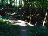 Slovenske Konjice (pokopališče) - Stolpnik