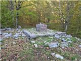 Jelova Ruja - Veliki Stolac