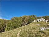 Jelova Ruja - Veliki Stolac