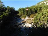 Planina Ravne - Veliki vrh (Veža)