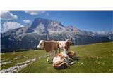 Cima Undici/Elferkofel Družinski izlet na Dürrenstein/Pico del Vallandro I.