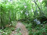 Kal-Koritnica - Lipnik (nad Lepeno)