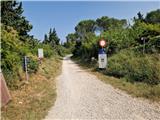 Crveni Vrh - Markovac