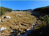 Robanov kot - Veliki vrh (Veža)