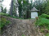 Javorje (Mala Črna) - Smrekovec