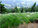 Jesenovo - Črni vrh (Čemšeniška planina)
