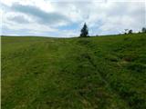 Hirschegg - Hirschegger Alm (južni vrh)