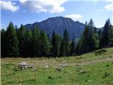 Nassfeld - Planina Javornik / Auernig Alm