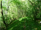 Planina Polog - Žlejžn