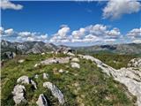 Panos