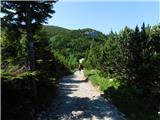 Raxalm-Berggasthof (Rax) - Heukuppe (Rax)