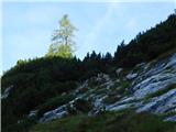 Lučka Bela (Za Loncem) - Vodotočno jezero (Veža)