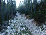 Planina Ravne - Veliki vrh (Veža)