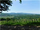 Žejno (Foto Ivanšek) - Sveti Vid (Šentviška gora)