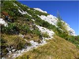 Planina Podvežak - Mala Ojstrica