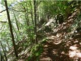 Tam na Meji (Beli potok) - Planina Nizki vrh