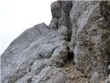 Zadnja Trenta (Flori) - Bavški Grintavec