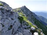 Planina Zapleč - Srednji vrh (pri Krnu)