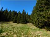 Glashütten - Hochalmhütte (Golica / Koralpe)