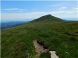 Oberfresen (Brendlwald) - Großer Frauenkogel