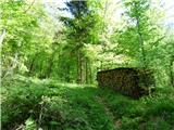 Planina Polog - Žlejžn