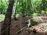 Jesenovo - Črni vrh (Čemšeniška planina)