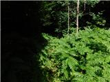 Zgornja Polskava - Žigartov vrh
