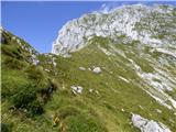 Žaga - Velika Kuhinja