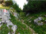 Jassing - Großer Ebenstein (jugovzhodni vrh)