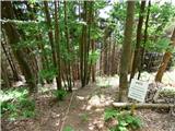 Jesenovo - Črni vrh (Čemšeniška planina)