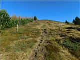 Parkirišče Hoyer (Neuhofgraben) - Lärchkogel (Glinska planina / Gleinalpe)