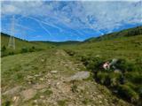 Oberfresen (Brendlwald) - Kleiner Speikkogel (Golica / Koralpe)