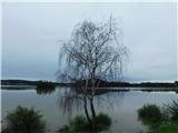 Gajševsko jezero - Gajševsko jezero