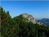 Niederalpl Ort - Hohe Veitsch