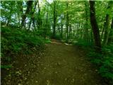 Žejno (Foto Ivanšek) - Sveti Vid (Šentviška gora)