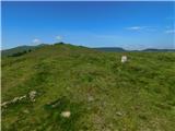 Oberfresen (Brendlwald) - Großer Frauenkogel