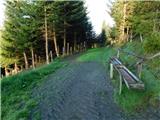 Brandlucken - Sommeralm