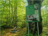 Odcep s ceste na Jelovo Rujo - Visočica