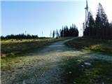 Alpl (Waldschulle Alpl) - Holta-Hütte (Rattner Alm)