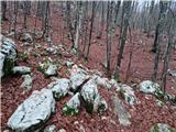Poklon - Krog (Učka)