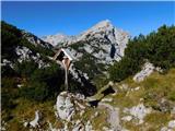 Robanov kot - Veliki vrh (Veža)