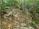 Ljubotić (Sv. Ante) - Stapina