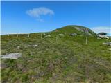 Oberfresen (Brendlwald) - Kleiner Speikkogel (Golica / Koralpe)