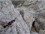 Zadnja Trenta (Flori) - Bavški Grintavec