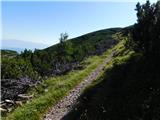Rudnik v Topli - Kordeževa glava (Peca)