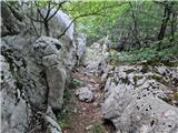 Ljubotić (Sv. Ante) - Planinsko zavetišče Tatekova koliba