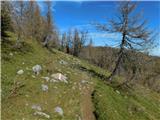 Aflenz Kurort (Bürgergraben) - Hochstein (pri Mitteralm)