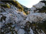 Robanov kot - Veliki vrh (Veža)