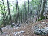 Tam na Meji - Brinica